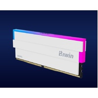 BIWIN DDR5 Memory DW100 DDR5 RGB Memory 6000mhz 32GB (16GB2) CL30-38-38-76 1.35V  B5DW100326030ER2G-CW001