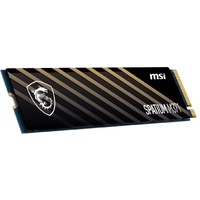 MSI SPATIUM M371 NVMe M.2 500GB, PHISON E13T, 3D NAND, M.2 2280, 2200 MB s Read, 1150 MB s Write, PCI-E 3.0, 110 TBW, 5 Year Warranty