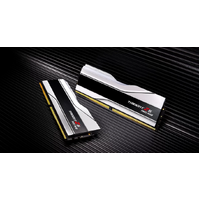 G.SKILL F5-6000J2636H32GX2-TZ5NR  64GB (2 x 32GB)  AMD EXPO DDR5 6000 MT s  Timings 26-36-36-96 Heatsink Voltage 1.45v  TZ5 Neo RGB