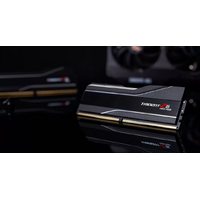 G.SKILL F5-6000J2836F48GX2-TZ5NR 96GB (2 x 48GB)  AMD EXPO  DDR5 6000 MT s Timings 28-36-36-96 Voltage 1.35V