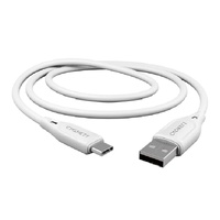 Cygnett Essentials USB-C to USB-A (2.0) Cable (2M) - White (CY4690PCUSA), 3A 60W, 480Mbps, Turbo Charge, Best for Laptop, 2 Years Warranty
