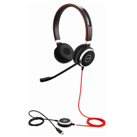 Jabra Evolve 40 MS Stereo USB-C Professional Headset Suitable for Computer  Mobile Device Microsoft Teams Certified 2ys Warranty