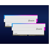 BIWIN DDR5 Memory DW100 DDR5 RGB Memory 6000mhz 32GB (16GB2) CL30-38-38-76 1.35V  B5DW100326030ER2G-CW001