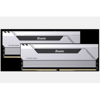 BIWIN DDR5 Memory HX100 Heatsink 6000mhz 32kits (16GB2) CL36 Silver Black Opal (Gaming) BXH53260HX1-D36DS