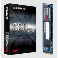 GIGABYTE NVMe SSD 256GB