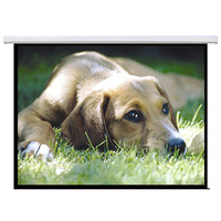 Brateck Standard Electric Projector Screen - 100 inch 2.0x1.5m (4:3 ratio) with Remote Control 