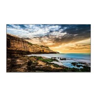 Samsung 65 inch QET Business Smart TV Commercial Display 4K UHD 3840x2160 8ms 4000:1 2xHDMI USB LAN 16 7 Speakers VESA Digital Signage