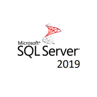 Microsoft SQL Server 2019 Standard - Licence - 1 Server - OLP: Open Business - Windows - Single Language