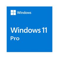 Microsoft Windows 11 Professional OEM 64-bit English 1 Pack DVD. Key NEW